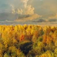 Осень :: Сергей Бухарев