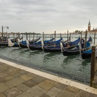 Венеция :: leo yagonen