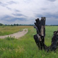 Полевая дорога. :: Андрий Майковский