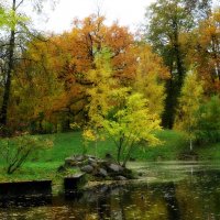 Осенний парк :: Наталия Короткова