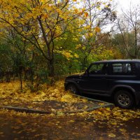 Осень не первоначальная :: Андрей Лукьянов