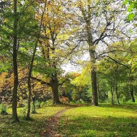 Парк Южный в красках октября :: Маргарита Батырева