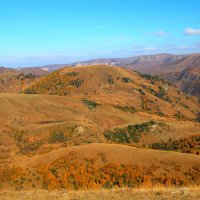 Золотая осень на плато Бийчесын. Высота более 2000м. :: Vladimir 070549 