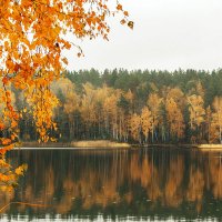 Осень на озере :: Татьяна Баценкова