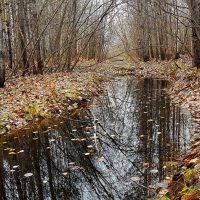 В парке... :: Олег Петрушов