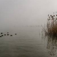 Гребцы в тумане 2 :: Виктор Индюхин