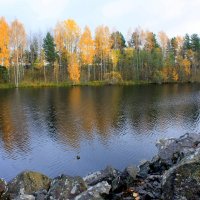 ОСЕНЬ В КАРЕЛИИ :: Николай Гренков