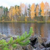 ОСЕНЬ В КАРЕЛИИ :: Николай Гренков