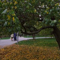 листья желтые над городом кружатся... :: Людмила 