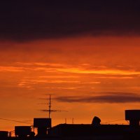 закат над крышами :: Ольга Логинова