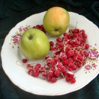 Яблоки и  замороженная смородина :: Нина Корешкова