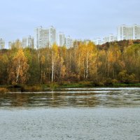 Осень в Крылатском :: Денис Масленников