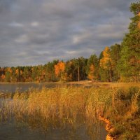 Осенний берег :: Ната Волга