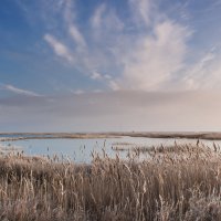 Пейзаж с камышами и озером :: Алина Шостик