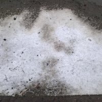 Первый снег :: Митя Дмитрий Митя