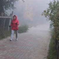 В осенний туман :: Александр Велигура