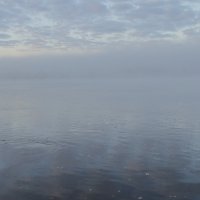Утро в тумане :: Татьяна Шаклеина
