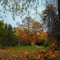 "Сиреневый сад в октябре." :: Василий Ярославцев