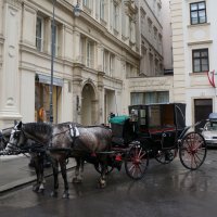 Прогулки по Вене ... :: Алёна Савина