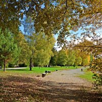 "Вы помните прелестный уголок - Осенний парк в цвету янтарно-алом?..." :: Galina Dzubina