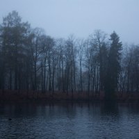 Октябрьский туман :: Алёнка Шапран