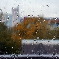 Дождливый день... :: Виталий Павлов
