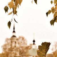 ... а просто осень... :: Александр Беляков