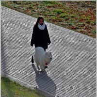 Дама с собачкой (Набережная Ижевска, ноябрь 2017) :: muh5257 