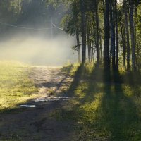 В тумане утреннем.... :: Юрий Цыплятников