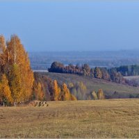 Последние деньки золотой осени 2017 :: Olenka 