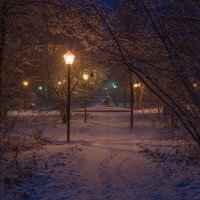 Снежное утро в парке. :: Виктор Евстратов