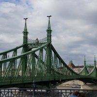 Мост Свободы.  Будапешт :: Алёна Савина