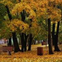 Осенний парк :: Клавдия Андреева