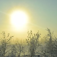 Солнце и туман :: Артём Глушко