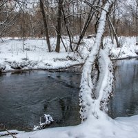 *** :: Владимир Безбородов