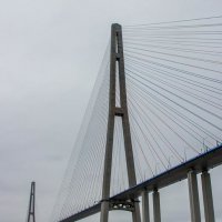 Мост "Русский" :: Сергей Коваленко