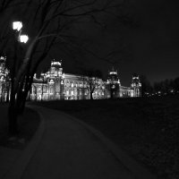 Большой дворец ночью в Царицыно :: Николай Смольников