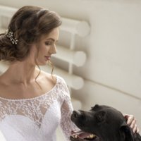 невеста и верный друг :: Екатерина Дерюгина