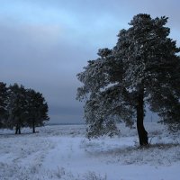 Вечереет. :: Владимир Гришин