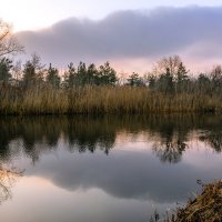 Рыбное место. :: Владимир M