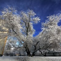 Первый снегопад в городе - 2017 :: Sergey-Nik-Melnik Fotosfera-Minsk