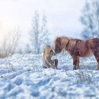 Мой маленький пони :: Татьяна Кам