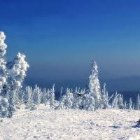 Зимнее утро :: Наталья Гашинская