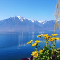 Весна на Женевском озере :: Elena Wymann