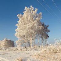 Сибирская зима. :: Андрей 