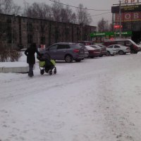 Зимний пейзаж :: Svetlana Lyaxovich