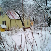 Žiema Karsakiškyje / Winter in Karsakišks :: silvestras gaiziunas gaiziunas