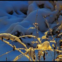 Прикосновение :: олег свирский 