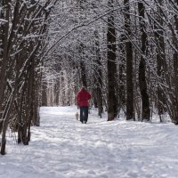 Прогулка. :: Владимир Безбородов