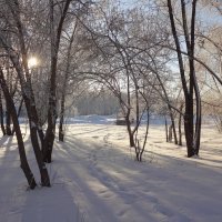 В зимнем парке... :: Елена Ярова